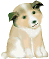 ‚í‚ñ‚±