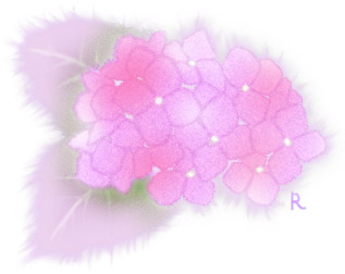 紫陽花のカット