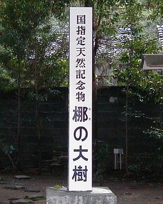 F쑬ʑ_8